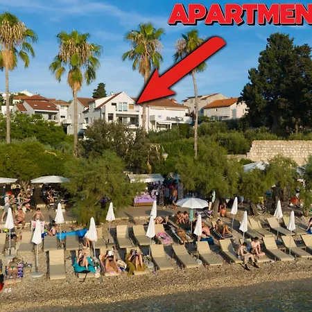 Palm Appartamento