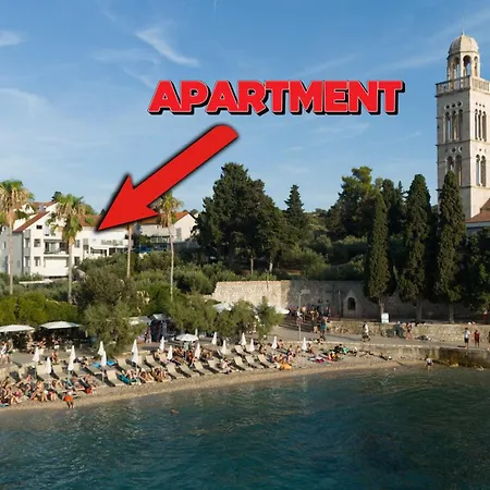 Appartamento Palm